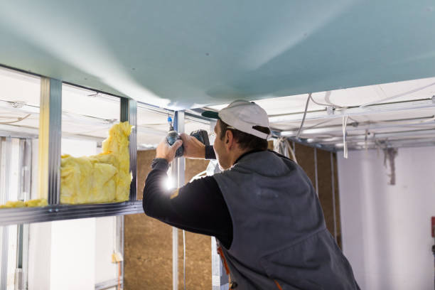 Best Wall Insulation Contractor  in Bellevue, WA