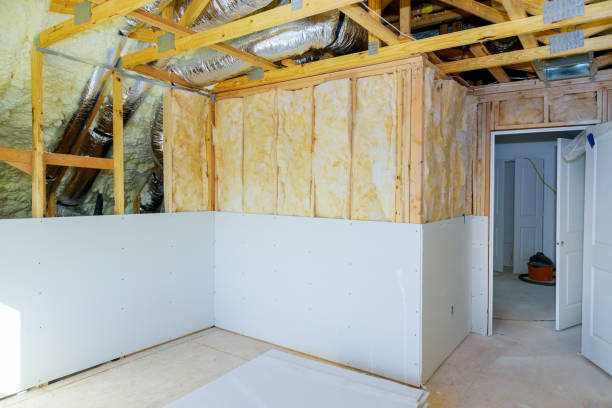 Best Insulation Replacement Services  in Bellevue, WA