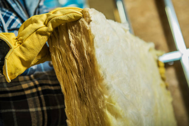 Best Insulation Repair Services  in Bellevue, WA