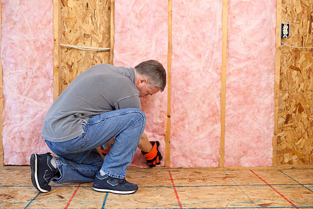 Best Insulation Repair Services  in Bellevue, WA