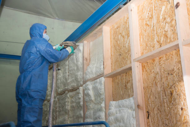 Best Best Insulation Companies  in Bellevue, WA